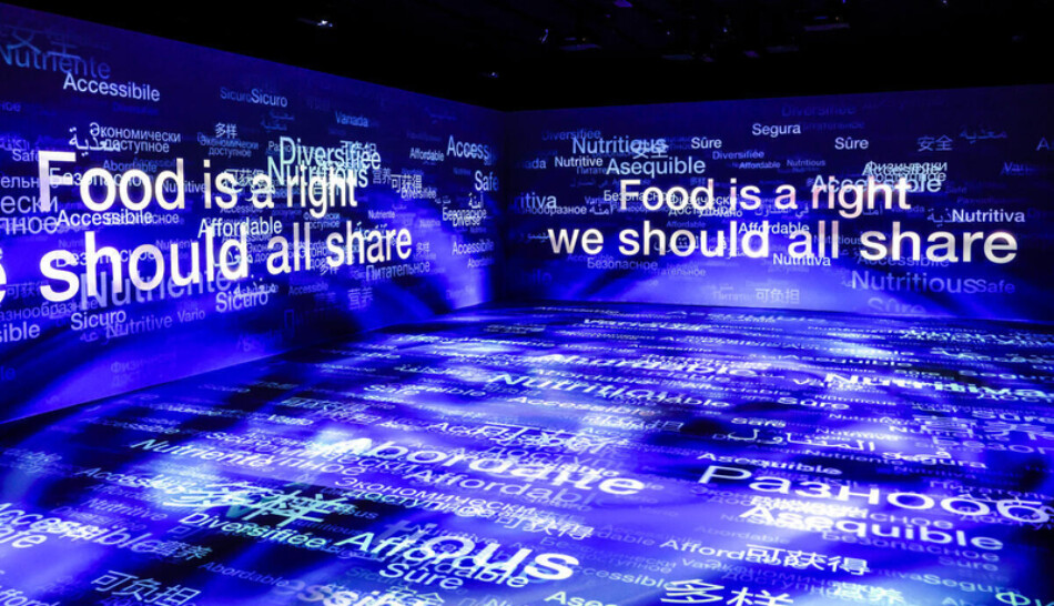 “Dal Seme al Cibo” e Fao MuNe per gli 80 anni della Fao