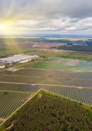 Italia, record negativo nel consumo di suolo: persi 83,7 chilometri quadrati nel solo 2024