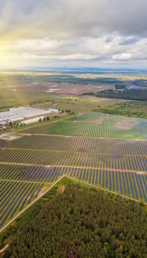Italia, record negativo nel consumo di suolo: persi 83,7 chilometri quadrati nel solo 2024