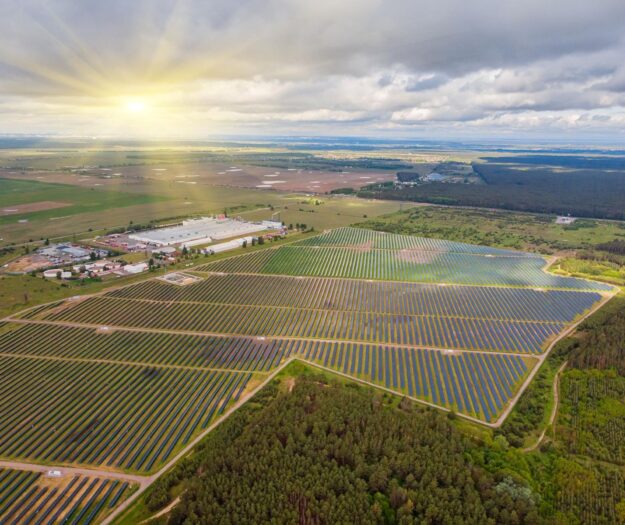 Italia, record negativo nel consumo di suolo: persi 83,7 chilometri quadrati nel solo 2024