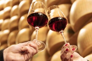 Vino & formaggio abbinamento perfetto, con i Vini della Valpolicella e il Parmigiano Reggiano a Roma Vino & formaggio abbinamento perfetto, con i Vini della Valpolicella e il Parmigiano Reggiano a Roma