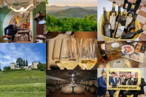 A WineNews il “Premio Collio” n. 18 per il “miglior storytelling digitale” sul territorio A WineNews il “Premio Collio” n. 18 per il “miglior storytelling digitale” sul territorio