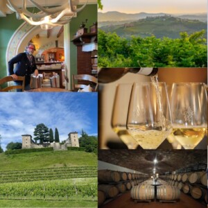 WineNews wins the 18th “Collio Award” for “best digital storytelling” in the region