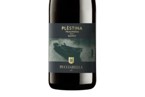 Pucciarella, Doc Trasimeno Gamay Plèstina 2024 Pucciarella, Doc Trasimeno Gamay Plèstina 2024