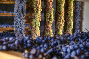 Il Recioto, vino storico della Valpolicella (e già Docg) diventa Presidio Slow Food Il Recioto, vino storico della Valpolicella (e già Docg) diventa Presidio Slow Food