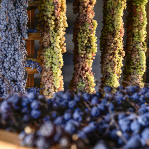 Il Recioto, vino storico della Valpolicella (e già Docg) diventa Presidio Slow Food