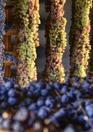 Il Recioto, vino storico della Valpolicella (e già Docg) diventa Presidio Slow Food