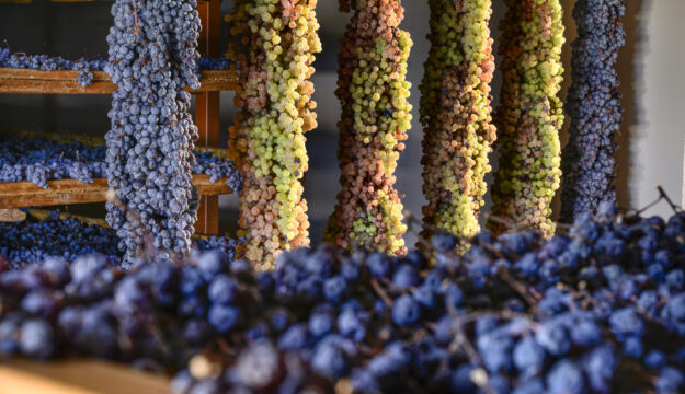 Il Recioto, vino storico della Valpolicella (e già Docg) diventa Presidio Slow Food