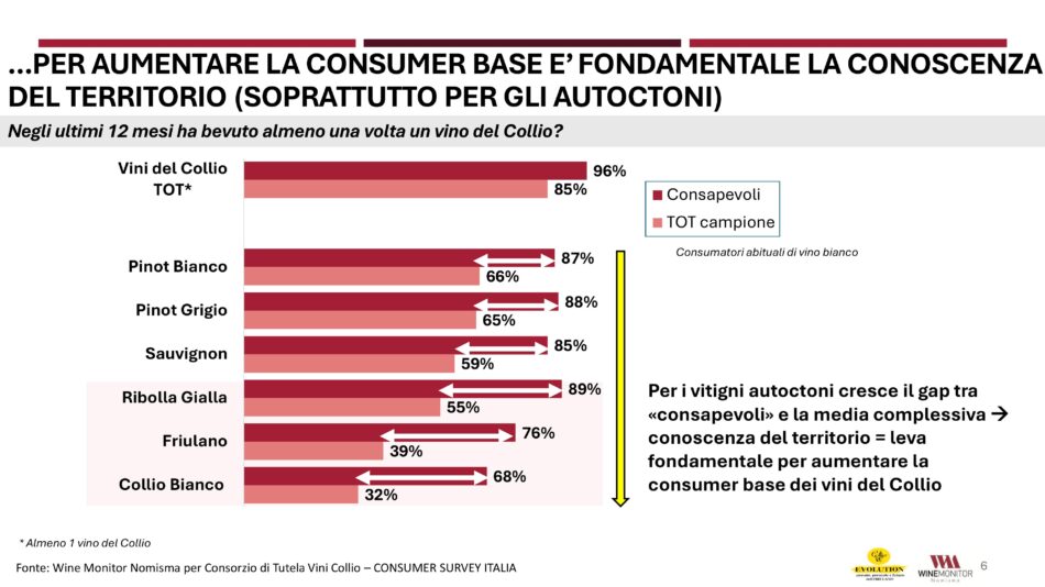 Il Collio, tra i territori bianchisti più amati dai wine lovers