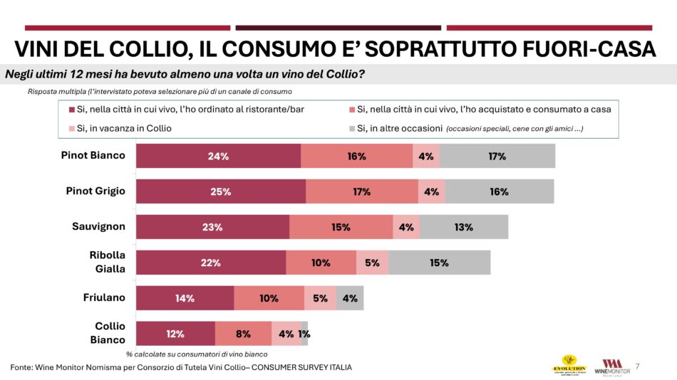 Il Collio, tra i territori bianchisti più amati dai wine lovers