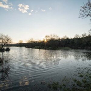 Tenuta San Guido reopens Padule di Bolgheri Wildlife Refuge, birthplace of the WWF, to the public