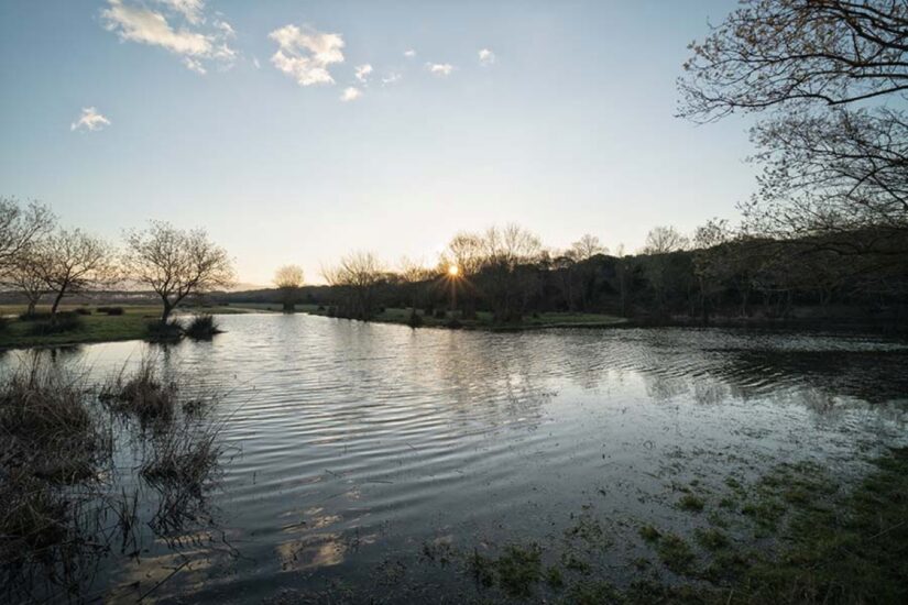 Il Rifugio Faunistico Padule di Bolgheri della Tenuta San Guido