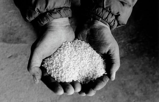 CHIOCCIOLA, RISO, SLOW FOOD ITALIA, SLOW RICE, Non Solo Vino