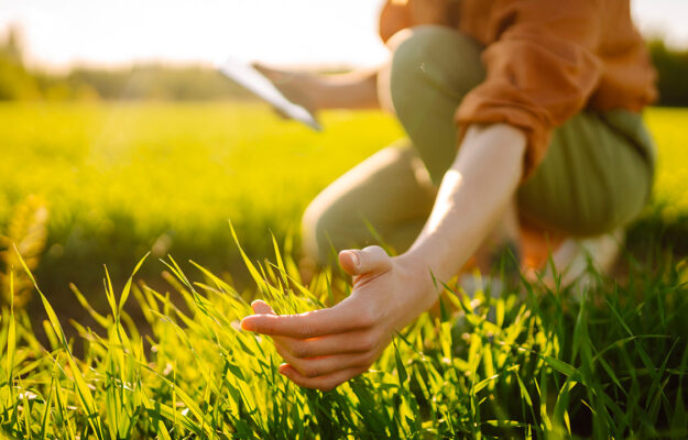 AGRICOLTURA, AMBIENTE, GIOVANI, SERVIZIO CIVILE AGRICOLO E AMBIENTALE, SOSTENIBILITA, Non Solo Vino
