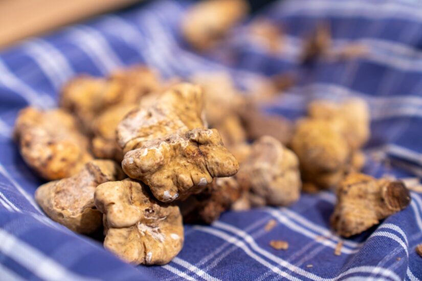 Il tartufo bianco di Alba (credit: Lavezzo Studio)