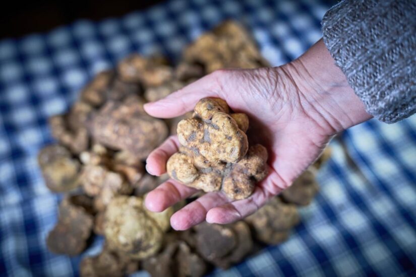 “Mostra Mercato del Tartufo Bianco delle Crete Senesi” a San Giovanni d’Asso 