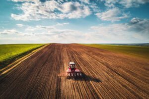 14.000 ettari disponibili in tutta Italia: al via la Banca Nazionale delle Terre Agricole by Ismea 14.000 ettari disponibili in tutta Italia: al via la Banca Nazionale delle Terre Agricole by Ismea