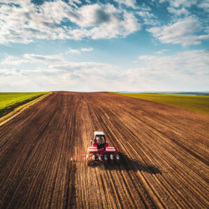 14.000 ettari disponibili in tutta Italia: al via la Banca Nazionale delle Terre Agricole by Ismea