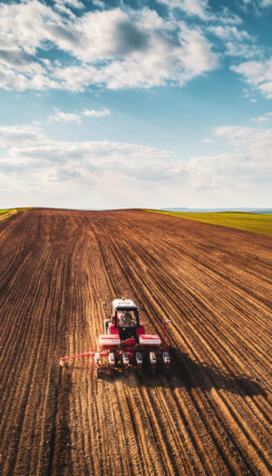 14.000 ettari disponibili in tutta Italia: al via la Banca Nazionale delle Terre Agricole by Ismea