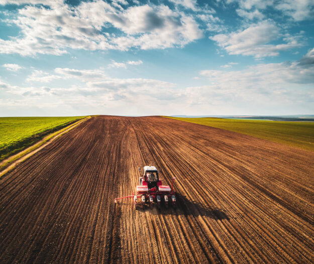 14.000 ettari disponibili in tutta Italia: al via la Banca Nazionale delle Terre Agricole by Ismea