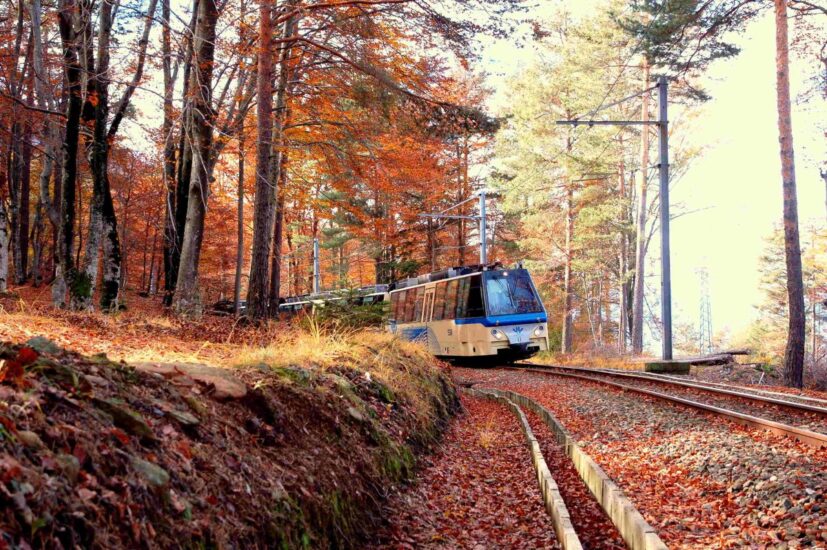 Il “Treno del Foliage” porta a “Taste Alto Piemonte” 2025 a Stresa 