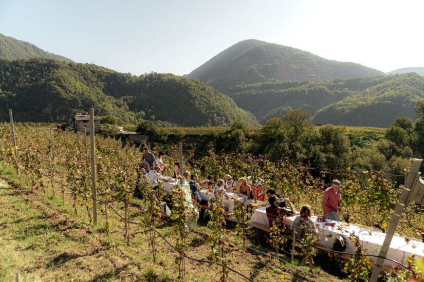 “DoloViniMiti”, il primo Festival dedicato ai vini verticali diffuso tra la Val di Cembra e la Val di Fiemme (ph: Mattia Rizzi)