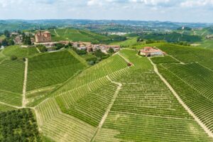 “Barolo en Primeur” 2025: in auction, 4,000 liters of Barolo and Barbaresco for social projects “Barolo en Primeur” 2025: in auction, 4,000 liters of Barolo and Barbaresco for social projects