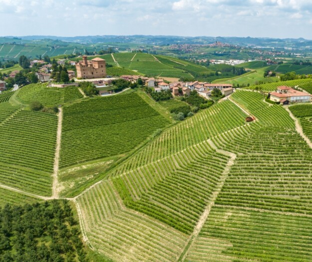 “Barolo en Primeur” 2025: in auction, 4,000 liters of Barolo and Barbaresco for social projects