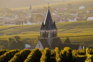 In Francia crescono i fallimenti legati al settore vinicolo: +37% di insolvenze in un anno In Francia crescono i fallimenti legati al settore vinicolo: +37% di insolvenze in un anno