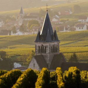 In Francia crescono i fallimenti legati al settore vinicolo: +37% di insolvenze in un anno