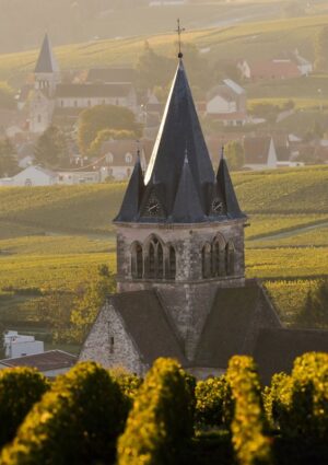 In Francia crescono i fallimenti legati al settore vinicolo: +37% di insolvenze in un anno