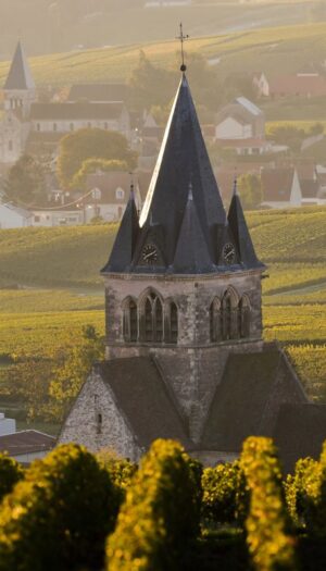 In Francia crescono i fallimenti legati al settore vinicolo: +37% di insolvenze in un anno