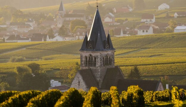 In Francia crescono i fallimenti legati al settore vinicolo: +37% di insolvenze in un anno
