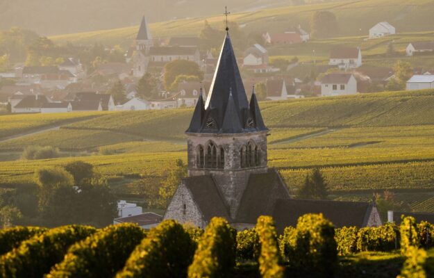 ALTARES, AZIENDE DEL VINO, FALLIMENTI, FRANCIA, INSOLVENZE, Mondo