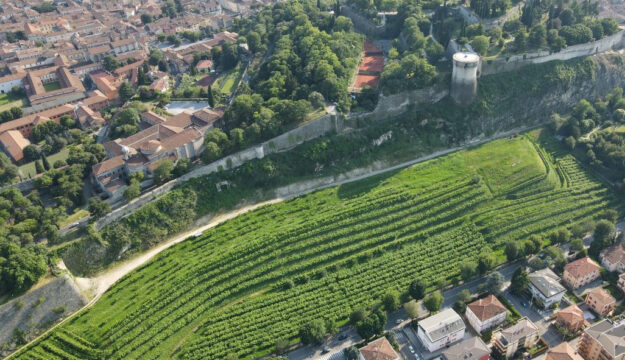Al via la vendemmia nel vigneto urbano pi&ugrave; grande d&rsquo;Europa (4 ettari), nato nell&rsquo;anno Mille