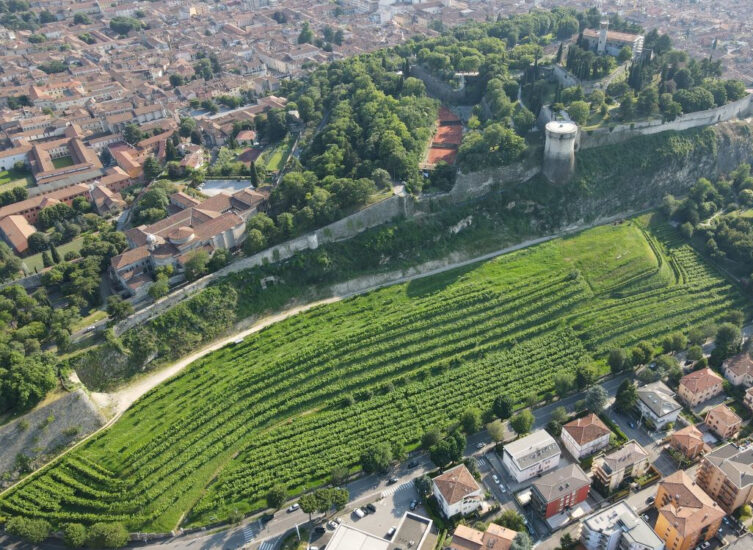 Il vino del Vigneto Pusterla, a Brescia
