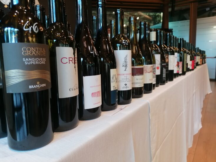 Vini ad Arte 2025 - Anteprime di Romagna, vini in degustazione