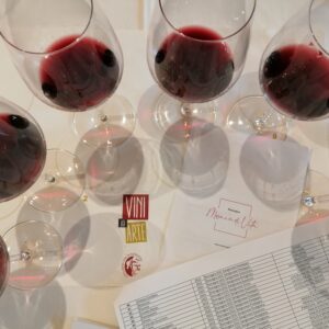 “Vini ad Arte” 2025: Romagna leaves behind even the last consequences of the flood