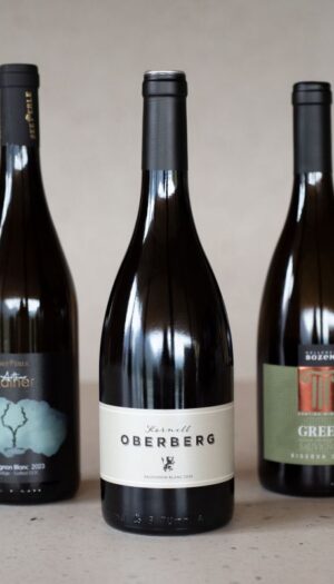 Kornell, Seeperle, Bozen: i Sauvignon Blanc (2023) top d’Italia sono dell’Alto Adige