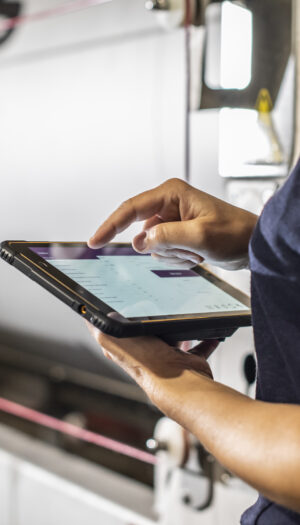 Il segreto dei vini bianchi di Borgogna è la loro longevità. Un progetto ne spiega le peculiarità