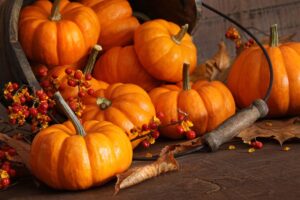 Halloween chiama, e la “Zucca Economy” risponde: per Ognissanti il giro d’affari vale 30 milioni Halloween chiama, e la “Zucca Economy” risponde: per Ognissanti il giro d’affari vale 30 milioni