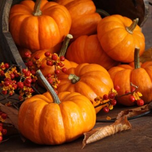 Halloween chiama, e la “Zucca Economy” risponde: per Ognissanti il giro d’affari vale 30 milioni