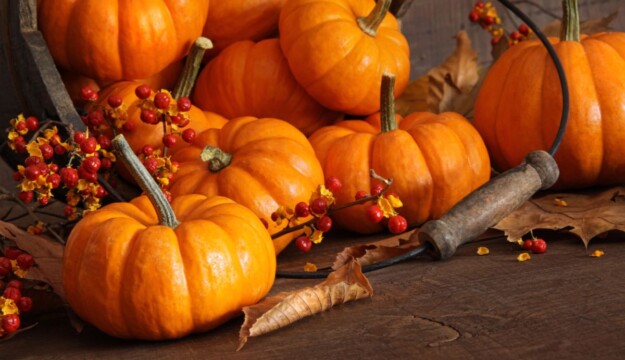 Halloween chiama, e la “Zucca Economy” risponde: per Ognissanti il giro d’affari vale 30 milioni