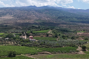 I Quaderni di WineNews - L'Etna