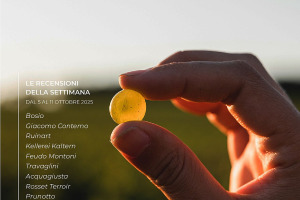 I Vini di WineNews - N. 383