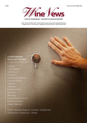 I Vini di WineNews - N. 385