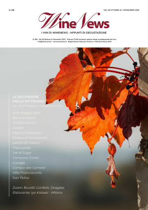 I Vini di WineNews - N. 386
