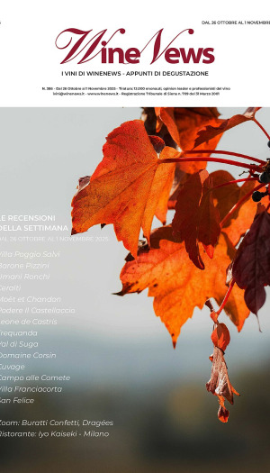 I Vini di WineNews