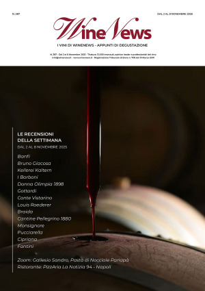 I Vini di WineNews - N. 387