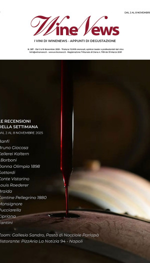 I Vini di WineNews